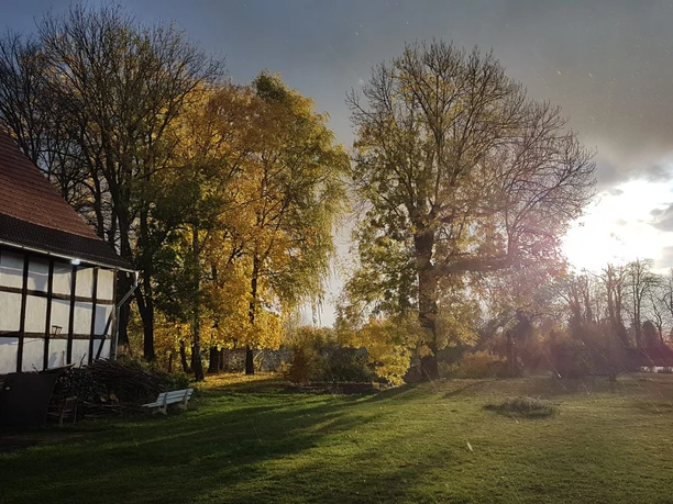 Denkmal Hue de Grais Denkmal Hue de Grais