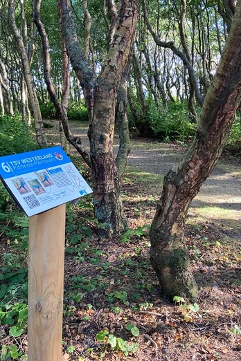 Fitness-Parcours im Südwäldchen vom TSV Westerland
