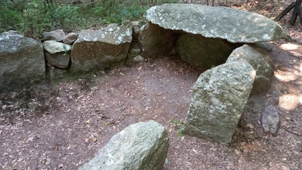 Historisches Großsteingrab im Staatsforst Eichholz Großsteingrab im Staatsforst Eichholz