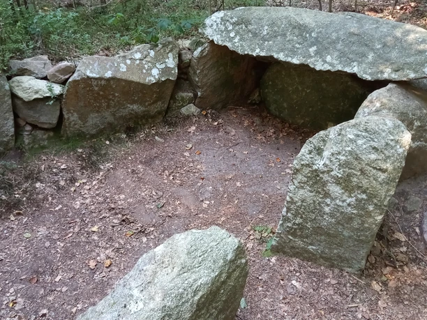 Historisches Großsteingrab im Staatsforst Eichholz Großsteingrab im Staatsforst Eichholz