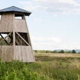 Aussichtsturm im Hiller Torfmoor, Gemeinde Hille, Norddeutschland
