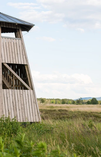 Aussichtsturm im Hiller Torfmoor, Gemeinde Hille, Norddeutschland