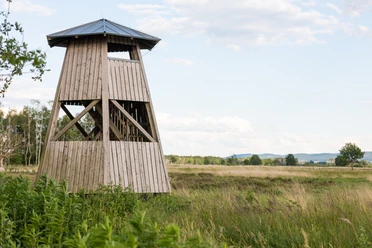 Norddturm im Hiller Torfmoor Aussichtsturm im Hiller Torfmoor, Gemeinde Hille, Norddeutschland