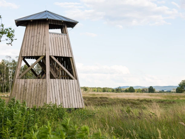 Norddturm im Hiller Torfmoor Aussichtsturm im Hiller Torfmoor, Gemeinde Hille, Norddeutschland