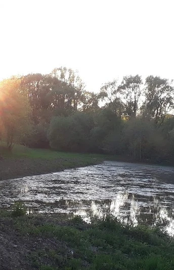 Florshain Sandweg 01 Foto Kerstin Eife-Dittschar