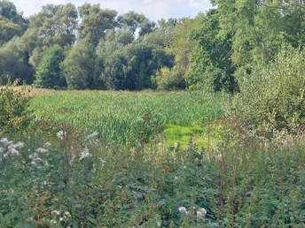 Florshain Sandweg 05 Foto Kerstin Eife Dittschar