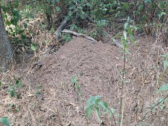 Florshain Sandweg 03 Foto Kerstin Eife Dittschar