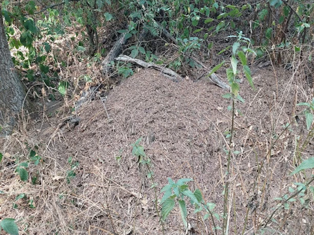 Florshain Sandweg 03 Foto Kerstin Eife Dittschar