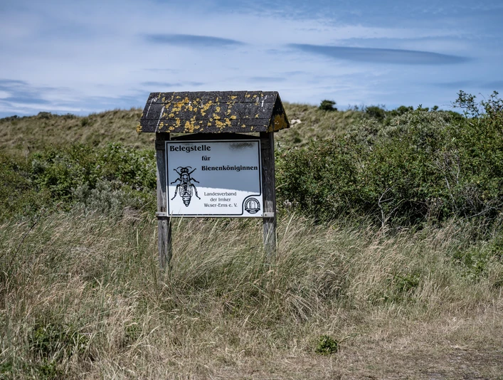 Belegstation-Bienen-Juist