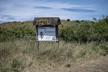 Belegstation-Bienen-Juist.jpg Belegstation-Bienen-Juist