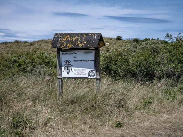 Belegstation-Bienen-Juist.jpg Belegstation-Bienen-Juist