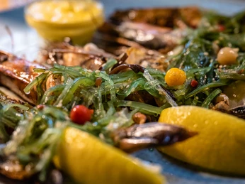 Trattoria-Melange-Loog