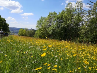 Blick zum Schloss