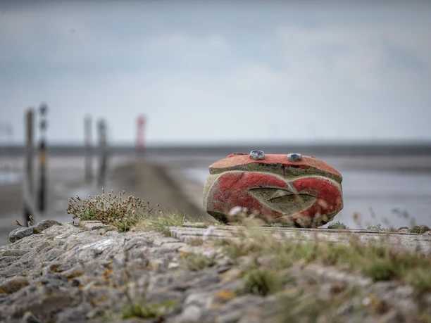 Krabbe-am-Ostdeich-Juist.jpg Krabbe-am-Ostdeich-Juist