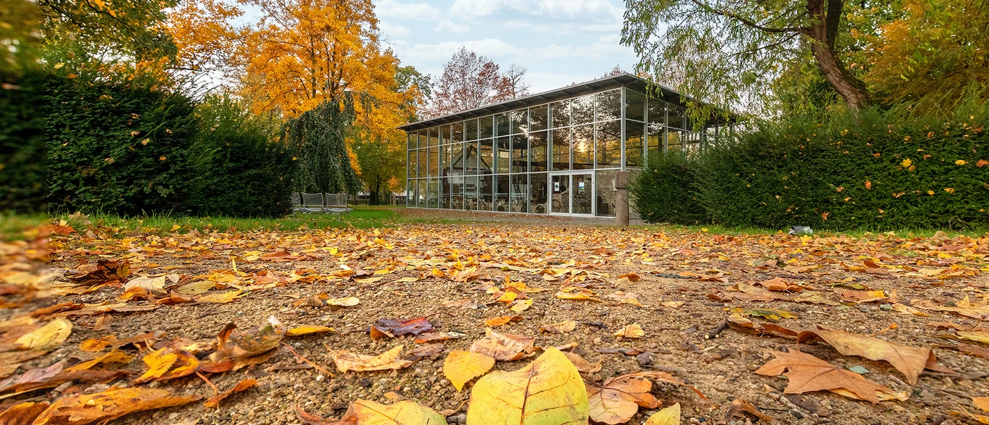 Der Schalenschneider Kotten im Herbst, Volksgarten Langenfeld Der Schalenschneider Kotten im Volksgarten Langenfeld mit buntem Herbstlaub und moderner Glasarchitektur.