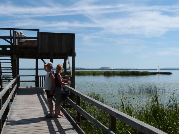 People enjoy the view of a body of water with sailing boats from a wooden viewing platform.