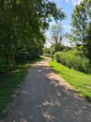 Schattenweg(1).jpg
