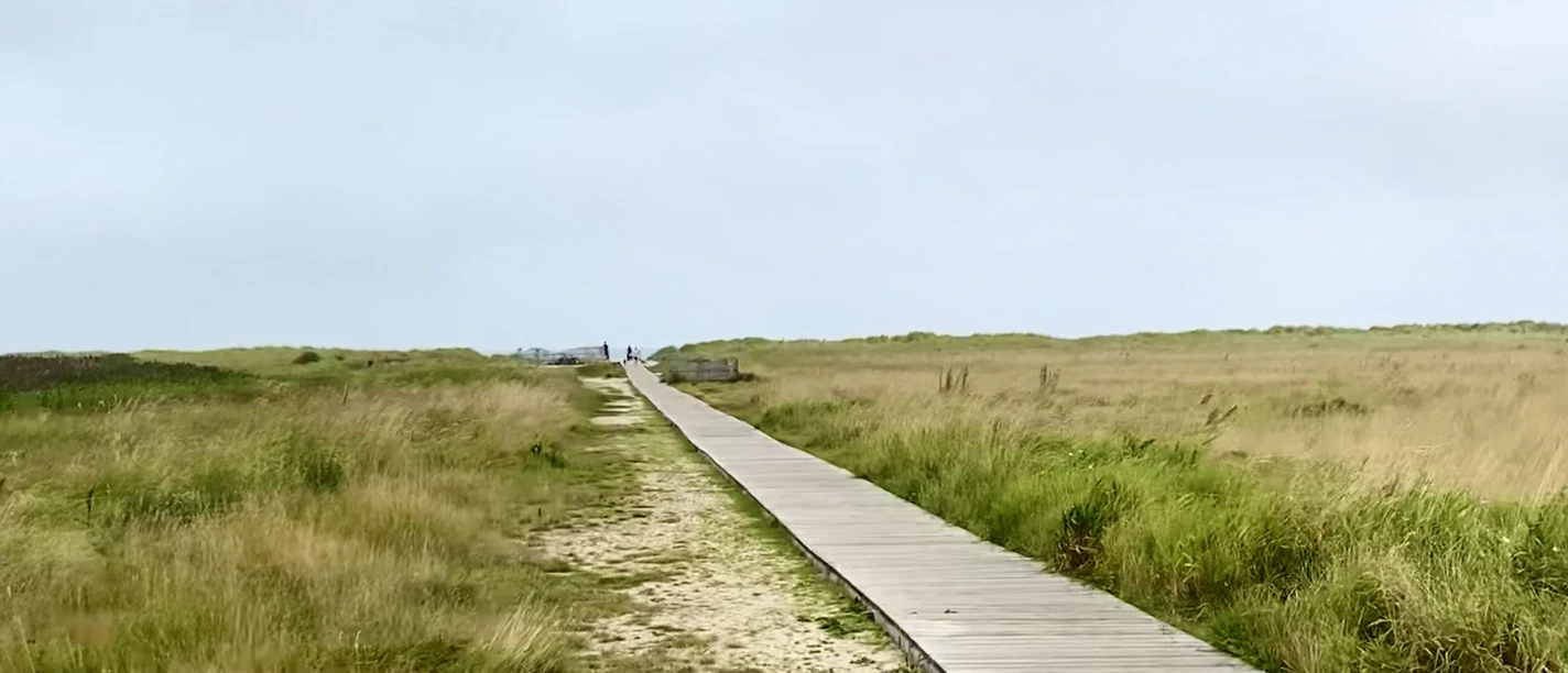 WattnExpressSalzwiesenTour