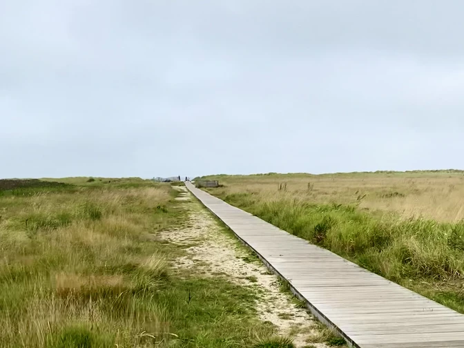 WattnExpressSalzwiesenTour