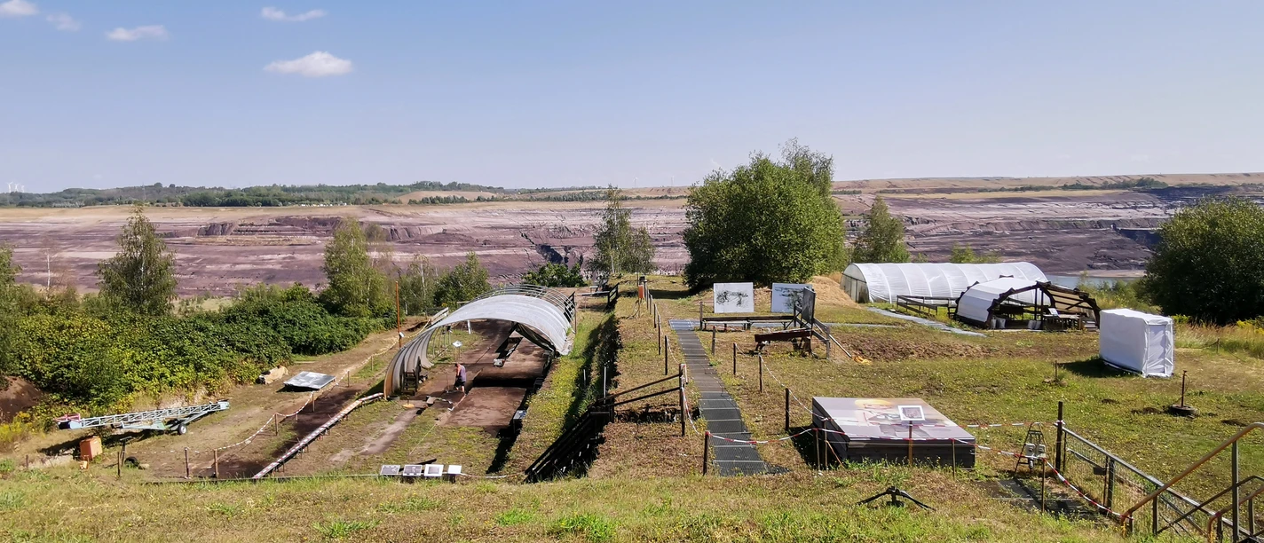 forschungsmuseum-schoeningen-ausgrabung-beate-ziehres-zeitorte.jpg Ausgrabung im Tagebau am Forschungsmuseum Schöningen