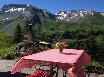 IMG-20170611-WA0002 (2).jpg