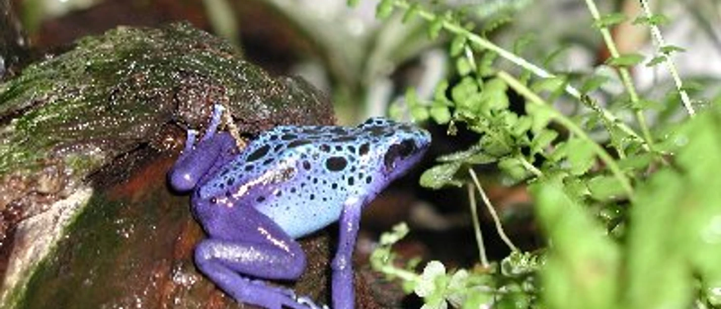 Familientag Reptilienhaus.jpg