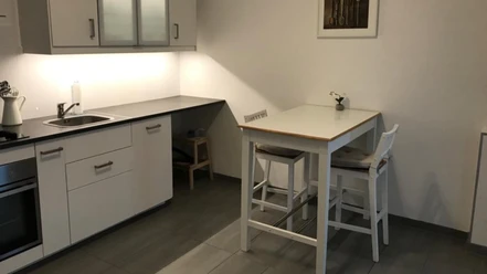 Moderne keuken in de vakantiewoning Hof Ehrichs Kuhstedt