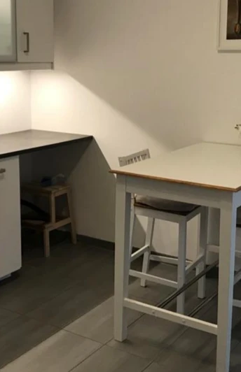 Moderne keuken in de vakantiewoning Hof Ehrichs Kuhstedt