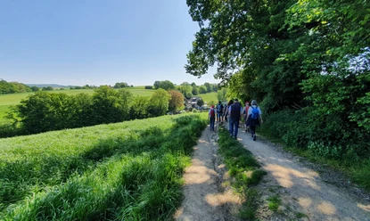 Geführte Wanderungen mit dem Weggefährten Wandergruppe auf einem Feldweg in grüner Landschaft bei klarem Himmel und sonnigem Wetter.