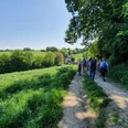 Geführte Wanderungen mit dem Weggefährten Wandergruppe auf einem Feldweg in grüner Landschaft bei klarem Himmel und sonnigem Wetter.