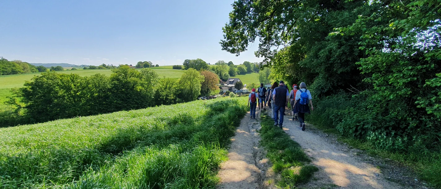Geführte Wanderungen mit dem Weggefährten Wandergruppe auf einem Feldweg in grüner Landschaft bei klarem Himmel und sonnigem Wetter.