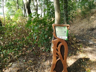 Hörstation "Der Gravenberg"