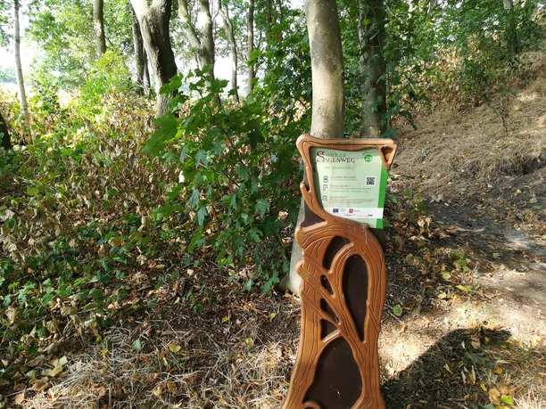 Hörstation "Der Gravenberg"