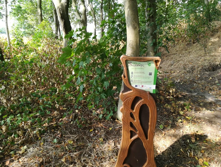 Hörstation "Der Gravenberg"