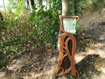 Hörstation "Der Gravenberg"