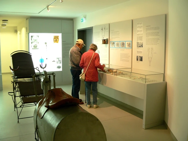 Quellenmuseum Wandelhalle Bad Wildungen