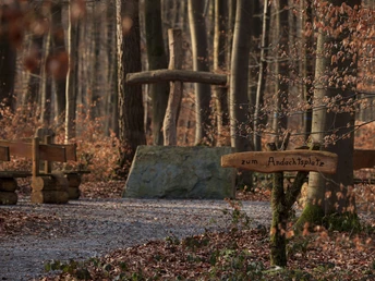 Friedwald Ein hölzernes Kreuz im dichten Wald markiert den Andachtsplatz, umgeben von Herbstlaub.