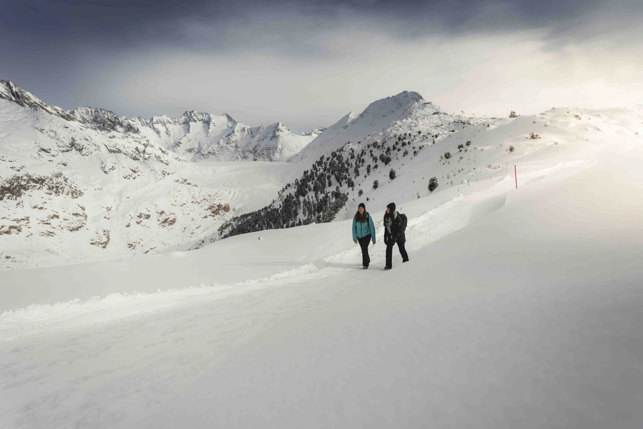 Testsiger Panorama-Aletsch Arena-2022.jpg