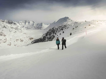 Testsiger Panorama-Aletsch Arena-2022.jpg
