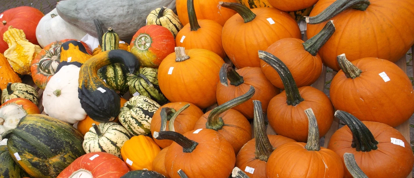 Hofladen Kürbisse Hofladen Kürbisse