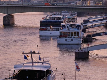 Cologne-Düsseldorfer German Rhine Shipping Abendliche Impression am Rhein: Mehrere Schiffe der Köln-Düsseldorfer Rheinschifffahrt ankern vor modernem Stadthintergrund in der untergehenden Sonne.Evening impression on the Rhine: Several ships of the Cologne-Düsseldorf Rhine shipping company anchor in front of a modern city background in the setting sun.