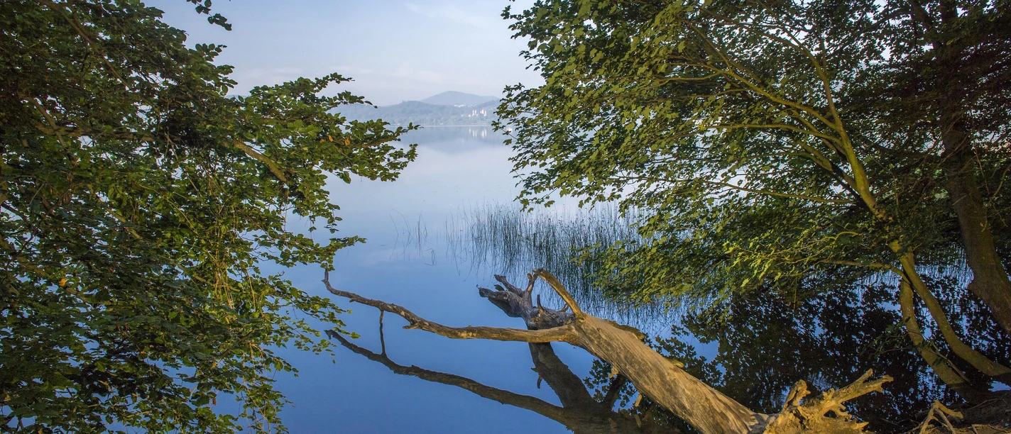Laacher See Laacher See