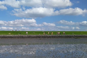Hundestrand-Nordermeldorf-Speicherkoog-JHanssen.jpg