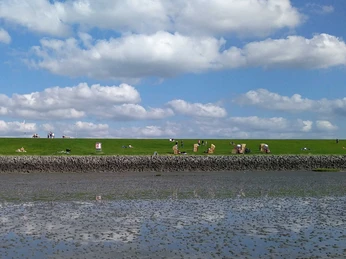 Hundestrand-Nordermeldorf-Speicherkoog-JHanssen.jpg