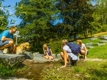 familie-diemelquelle c) david-heise-tourist-information-willingen.jpg