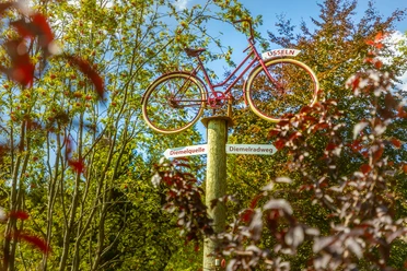wegweiser-fahrrad-diemelquelle c) david-heise-tourist-information-willingen.jpg