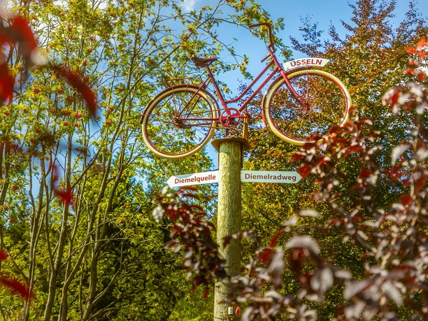 wegweiser-fahrrad-diemelquelle c) david-heise-tourist-information-willingen.jpg