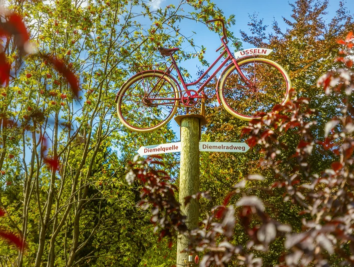wegweiser-fahrrad-diemelquelle c) david-heise-tourist-information-willingen.jpg