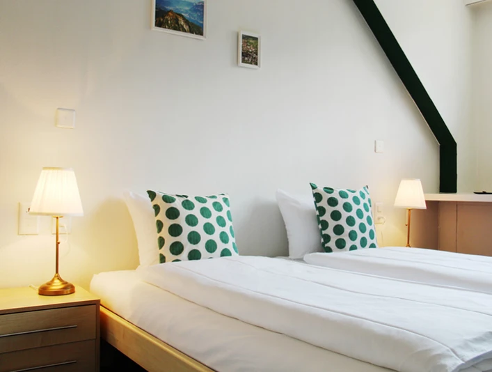 schwarzer Löwen@schwarzer Löwen (1).jpg