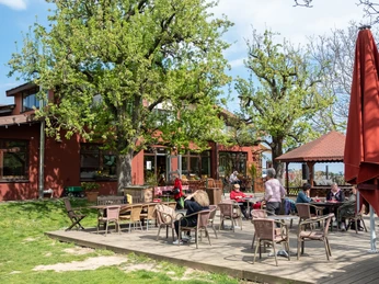 Biohof Bursch (2).jpg